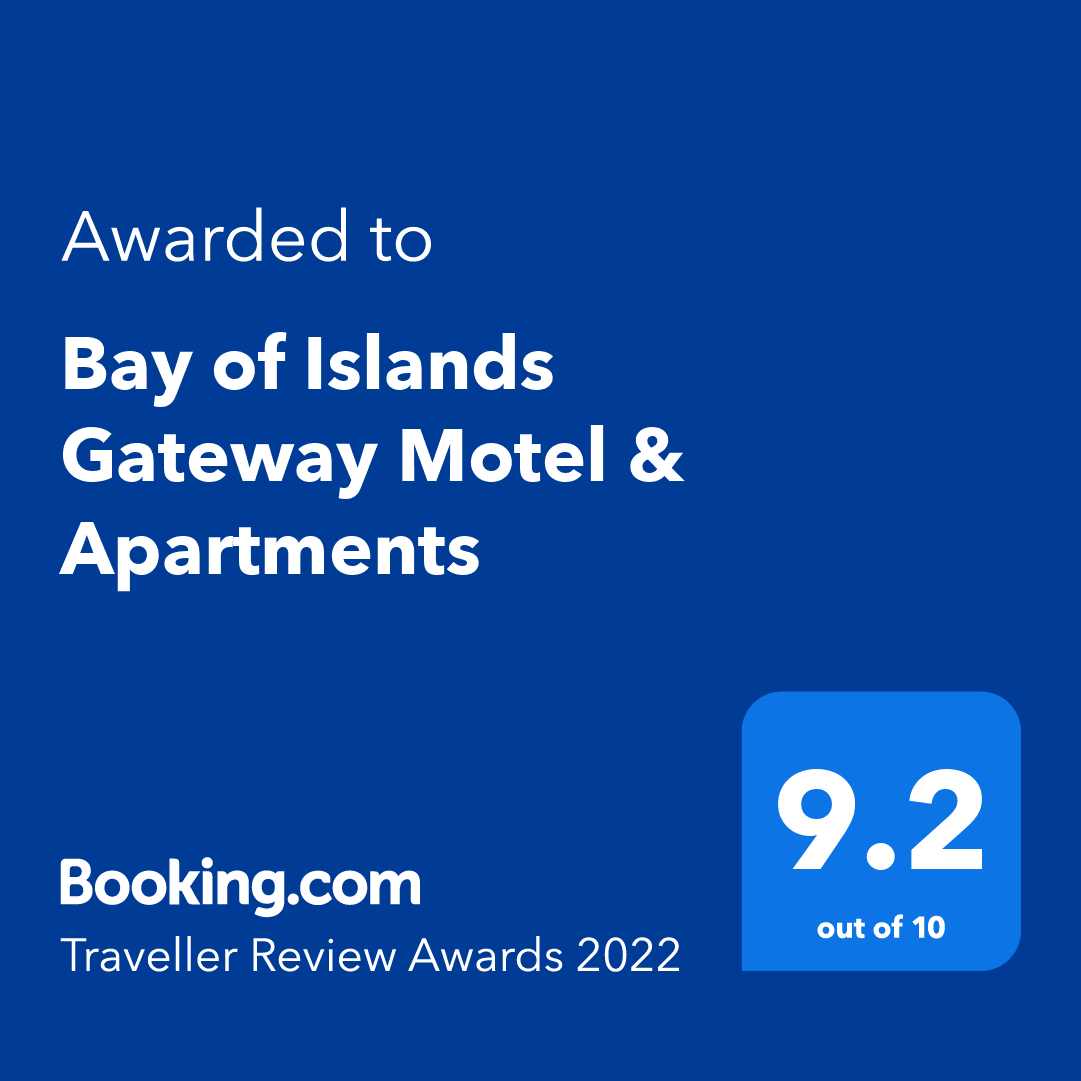 Booking Traveller Review Award 2022